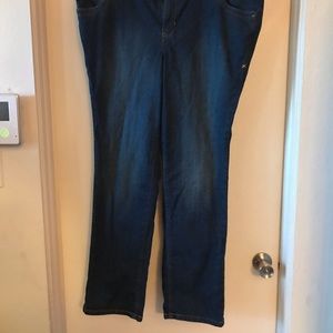 Lane Bryant Jeans